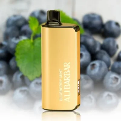 alibarbar 9000 blueberry mint